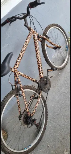 Bicicleta