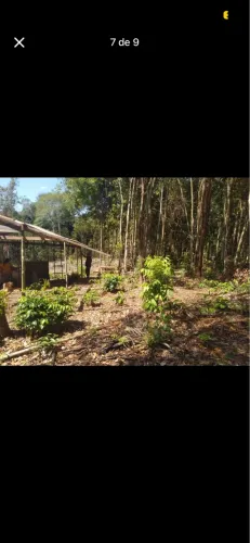 VENDA TERRENO comunidade CASA GRANDE 