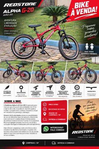 Bicicleta Redstone Alpha G-20 (aro 20)