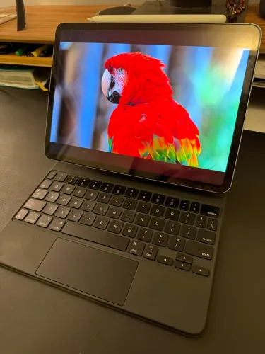 iPad Pro 11 polegadas M2 512 Gigas Wi-Fi e Celular + Acessórios