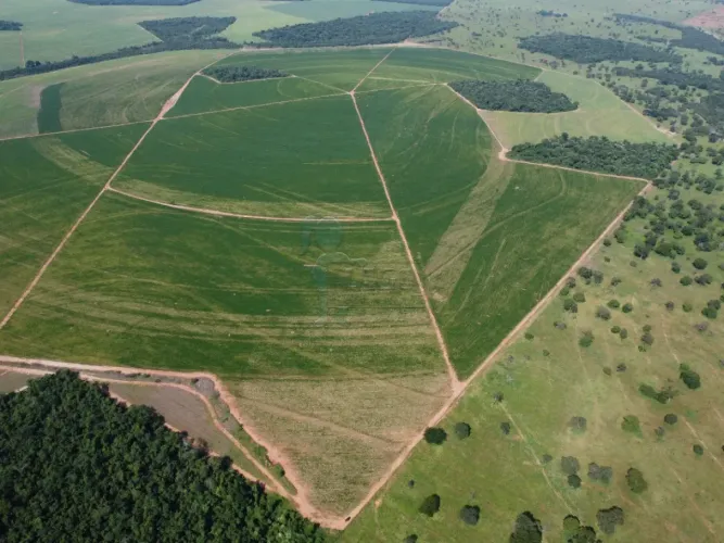 Fazenda de 749,20 hectares à venda - Paranaiguara
