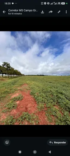 Fazenda de arrendamento 1.000 nova alvorada do sul MS.