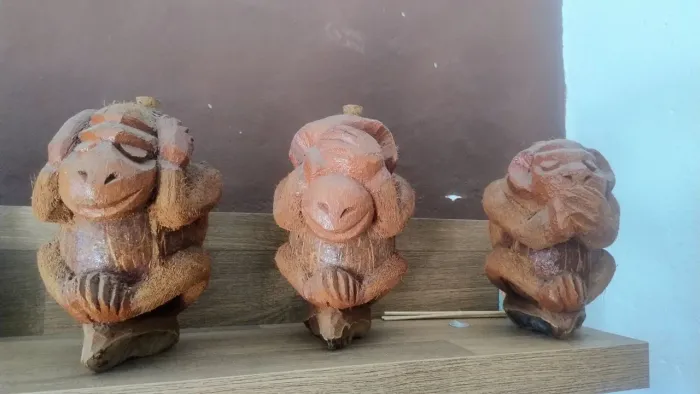 Macaquinhos de coco porta líquido 200,00