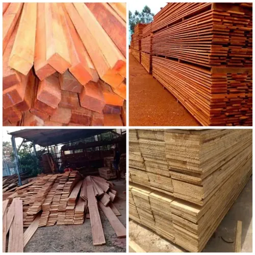 Tábua de Caixaria de 4 mts de Samaúma 