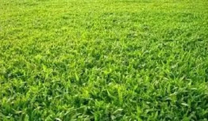 Terreno residencial de 1.148m² no condomínio Royal Park, em Ribeirão Preto