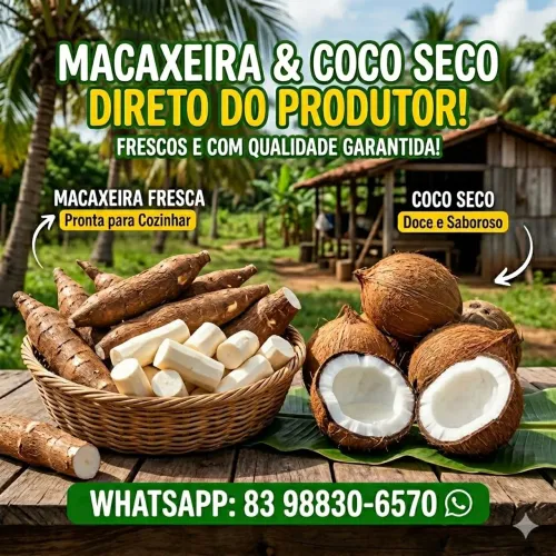 Coco e Macaxeira direto do produtor