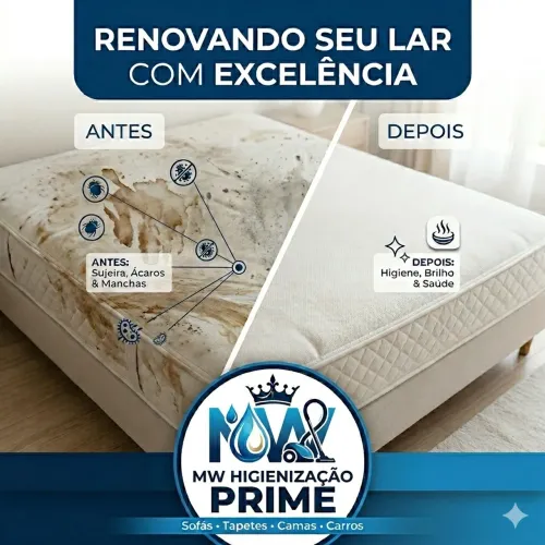 Higienização!!!