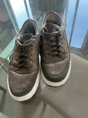 Sapato novo Democrata 