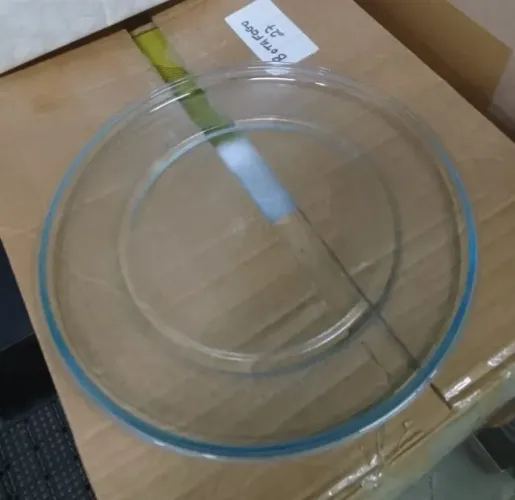 Prato Para Micro-Ondas Original Electrolux 31cm Impecável
