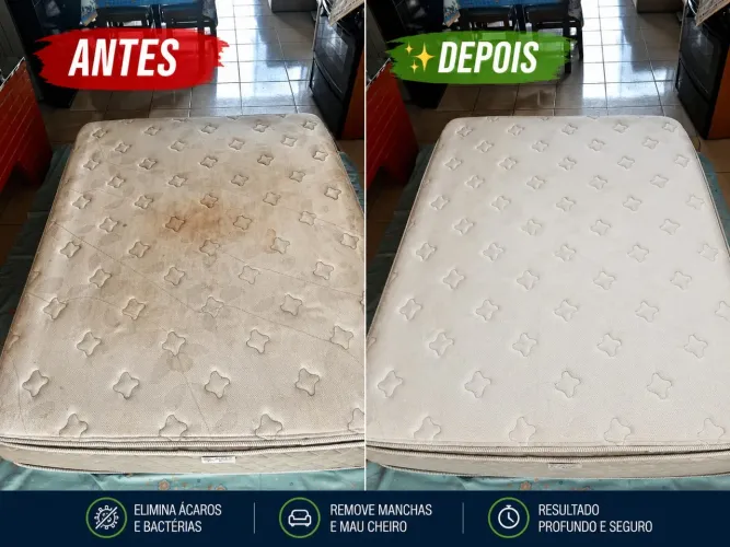 Renova Clean Higienização de estofados 
