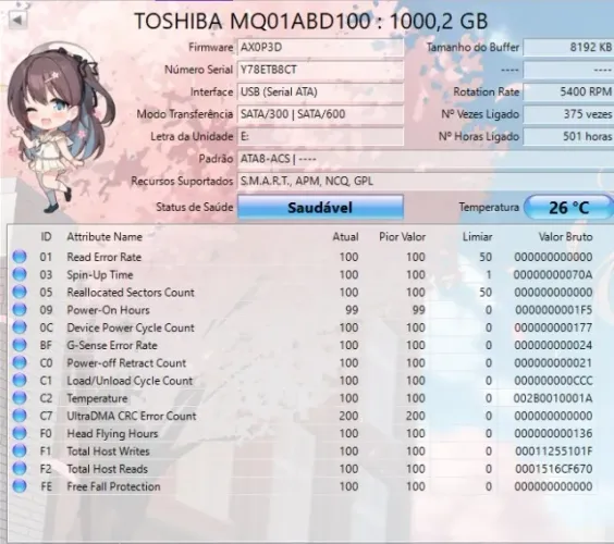 HD 1 TB - Notebook ou Externo - Apenas 501 horas