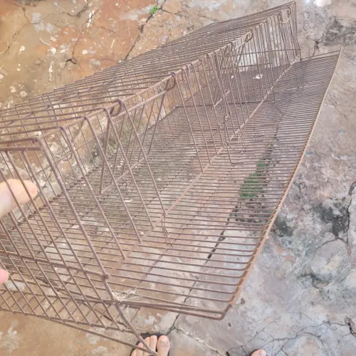 Gaiola pra codorna