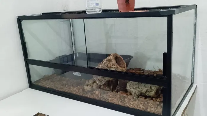 TERRÁRIO TODOS OS TAMANHOS ENVIAMOS PRA TODO NORDESTE ?