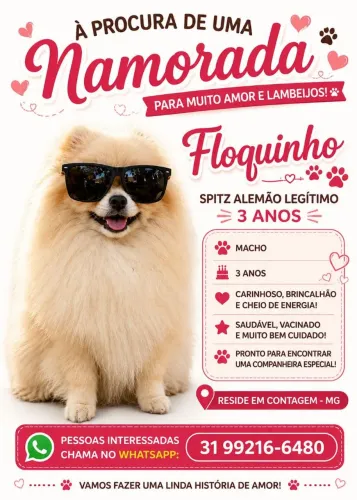 Floquinho procura uma namorada