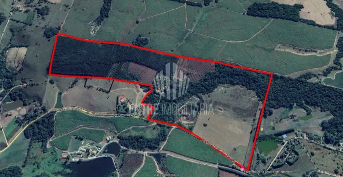 Sítio a venda em Quadra SP