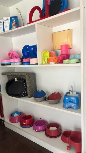 Fundo de pet shop e banho e tosa