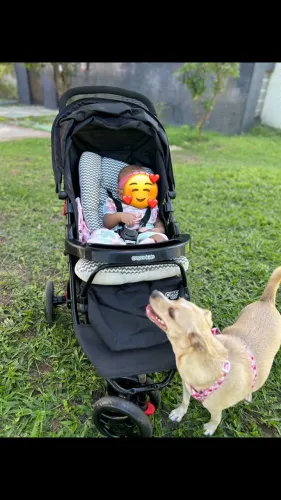Carrinho de bebê vem com a almofada de carrinho 