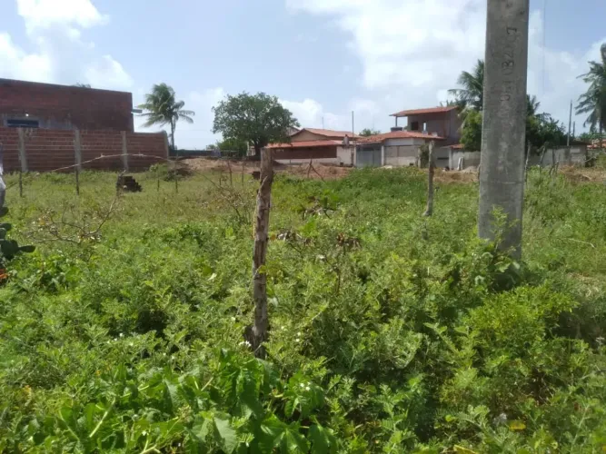 Praia de Caraubas RN Lote esquina 231m2