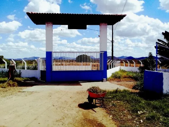 Belo haras c/18 baias, sede, casa de caseiro, pista , capim e poço art.