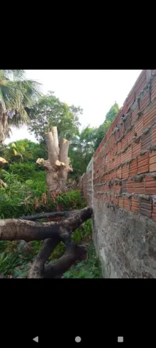 Corte em geral moto serra