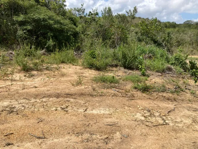 Terreno em São Cristóvão 