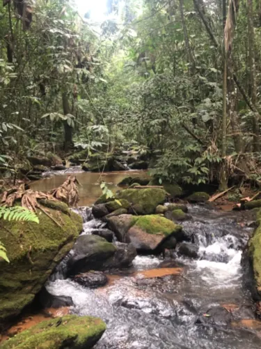Vendo ou troco por apto em Vitória ou Vila Velha, sitio com cachoeira