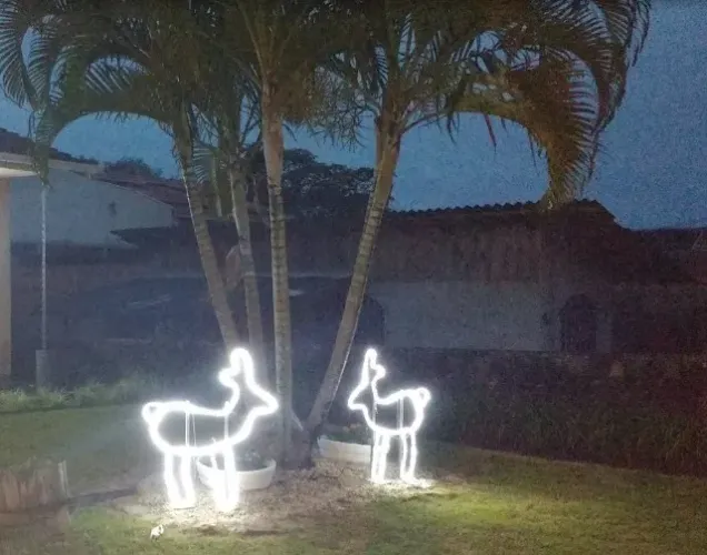 Luminosos renas natal led_180 a unidade.