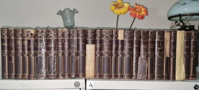 Coleção Eça de Queiroz (26 livros usados)