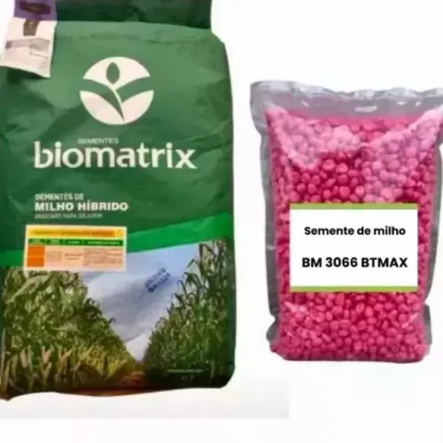 Semente de Milho BM 3066 BTMAX - 2kg - Biomatrix  Pacote com aproximadamente 6.000 semente