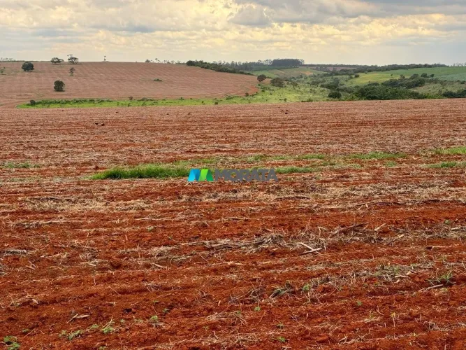 FAZENDA À VENDA - 228 HECTARES - BAMBUÍ (MG)