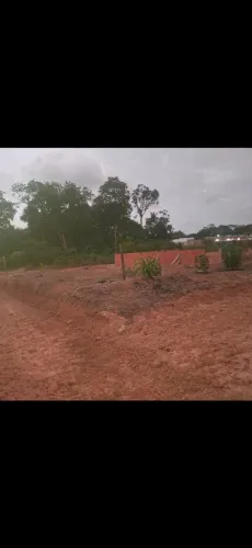 Alfaville fazendinha