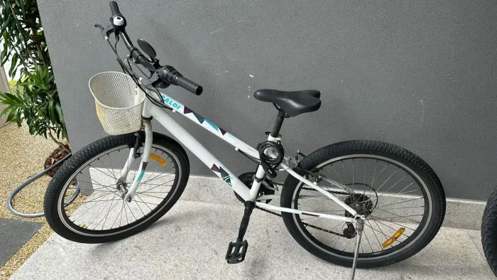 Bicicleta Ceci aro 20
