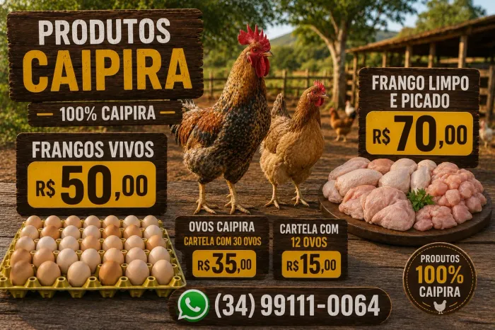 Frangos e Ovos
