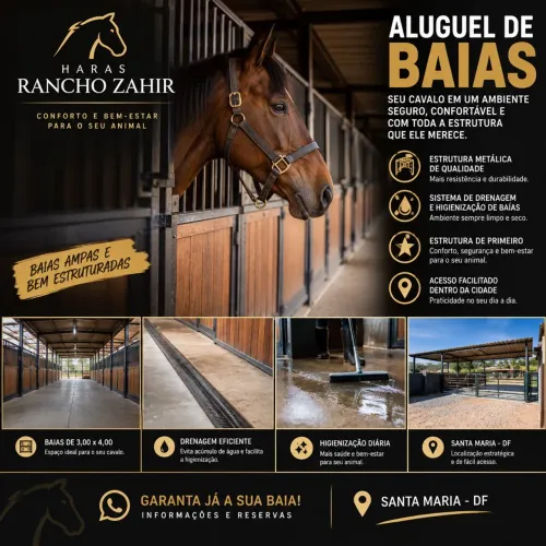 Aluguel de baias para cavalo