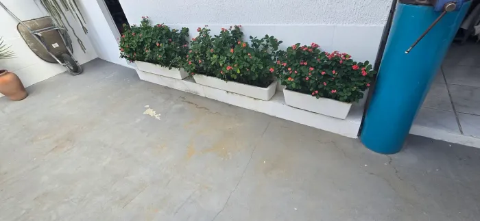 Jarro de plantas
