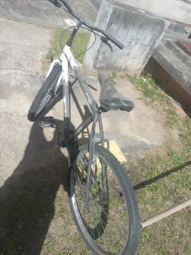 Bike 26