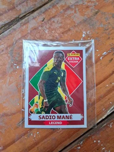 Sadio Mané bordo da copa do mundo(Extra stiker)