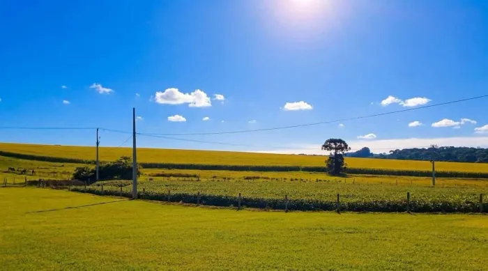 São Mateus do Sul, Fazenda C/ Maquinário, 125 Alqueires, ou 302 Há, Dupla Aptidão Soja e G