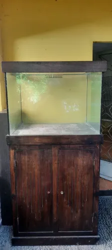 Aquário