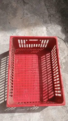 Galeia para Pães, Verduras e outros insumos