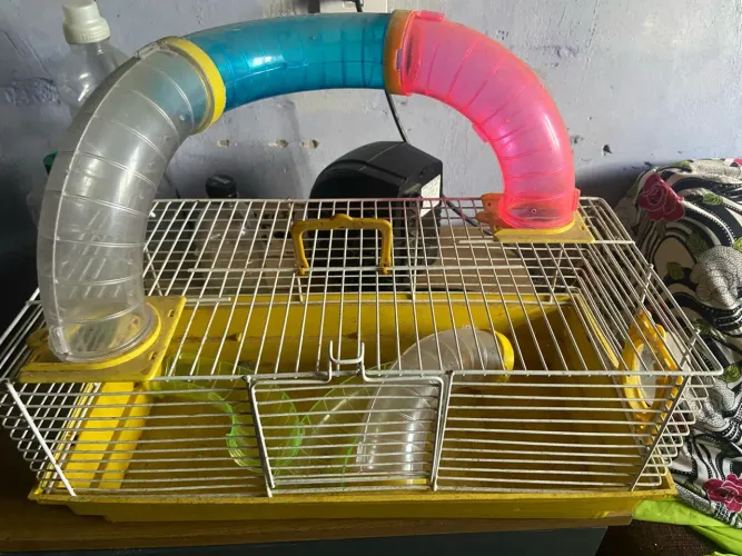 gaiola pra hamster