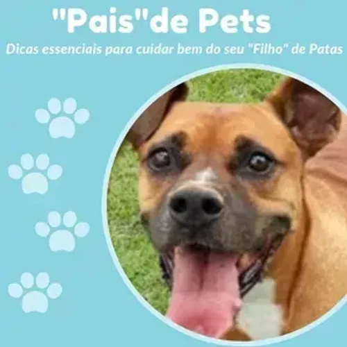 "Pais" de Pets