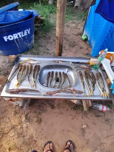 Chácara no Araguaia 