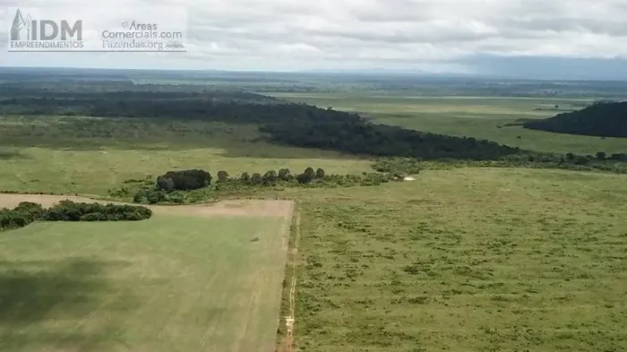 Fazenda agropecuária com 20.300 ha em Santana do Araguaia - PA