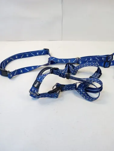 Conjunto para Passeio Petz Tam M (Peitoral + Guia) - Cor Azul