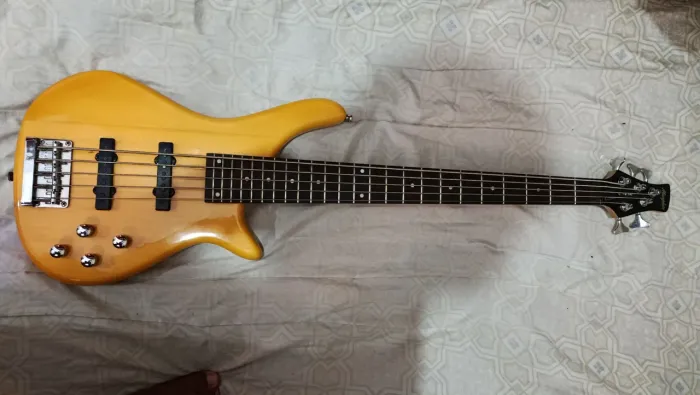 Tagima Memphis TB540