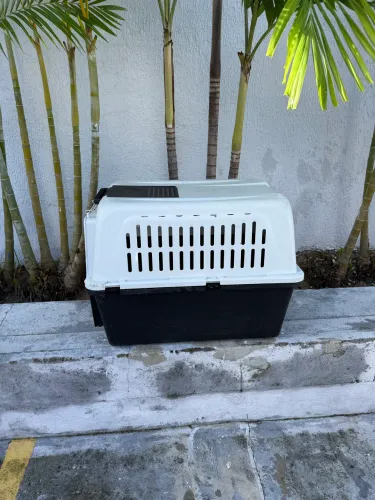 Caixa transporte cães e gatos