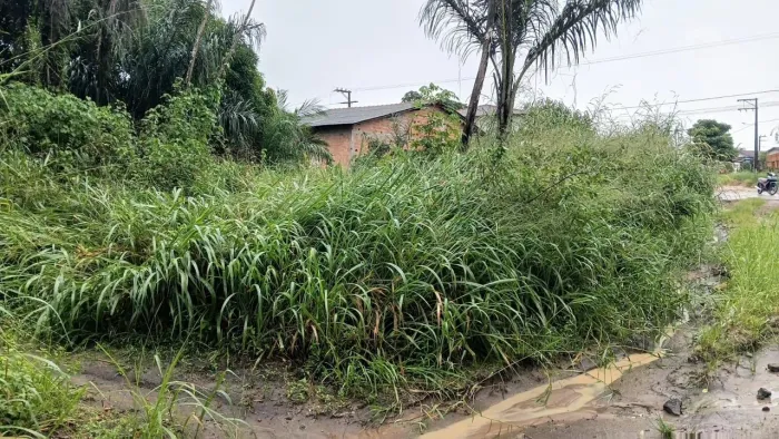 Terreno próximo ao Campo do Siqueira