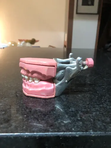 Marco modelo de dentição infantil mista