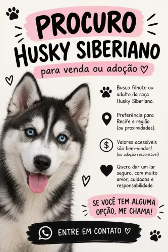 Procura-se husky siberiano